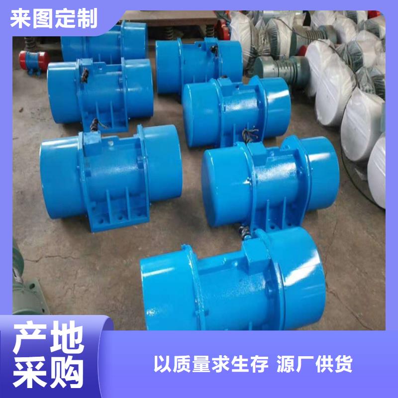 防爆振动电机平板振动器厂家老品牌厂家