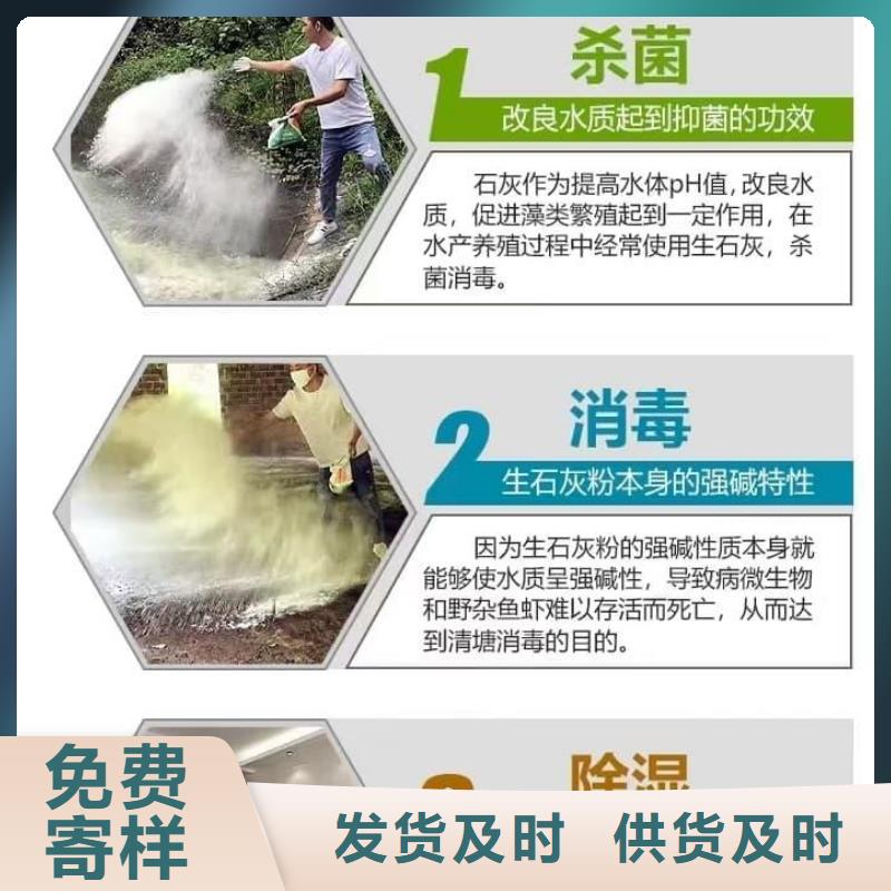 石灰消石灰重信誉厂家