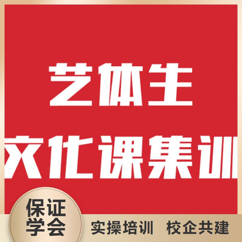 艺考生文化课高考补习学校学真本领