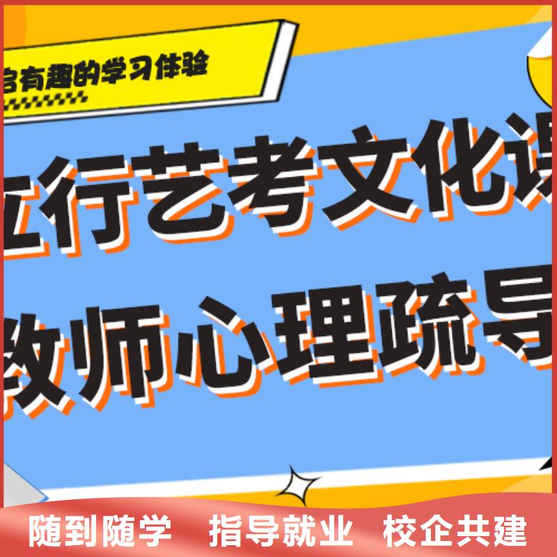 艺考文化课补习高考化学辅导老师专业