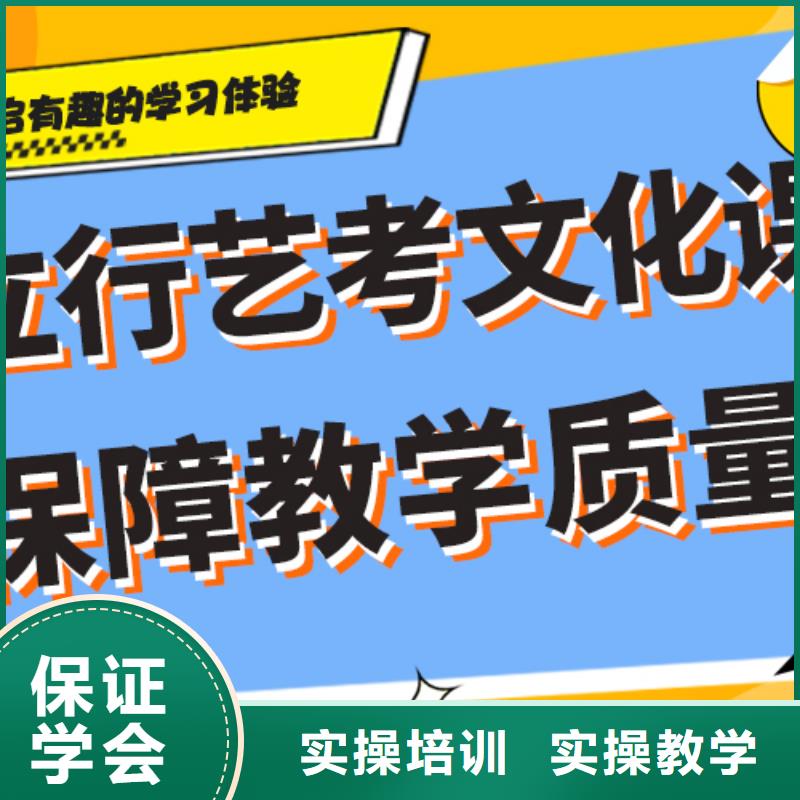 艺考文化课补习高三复读辅导老师专业