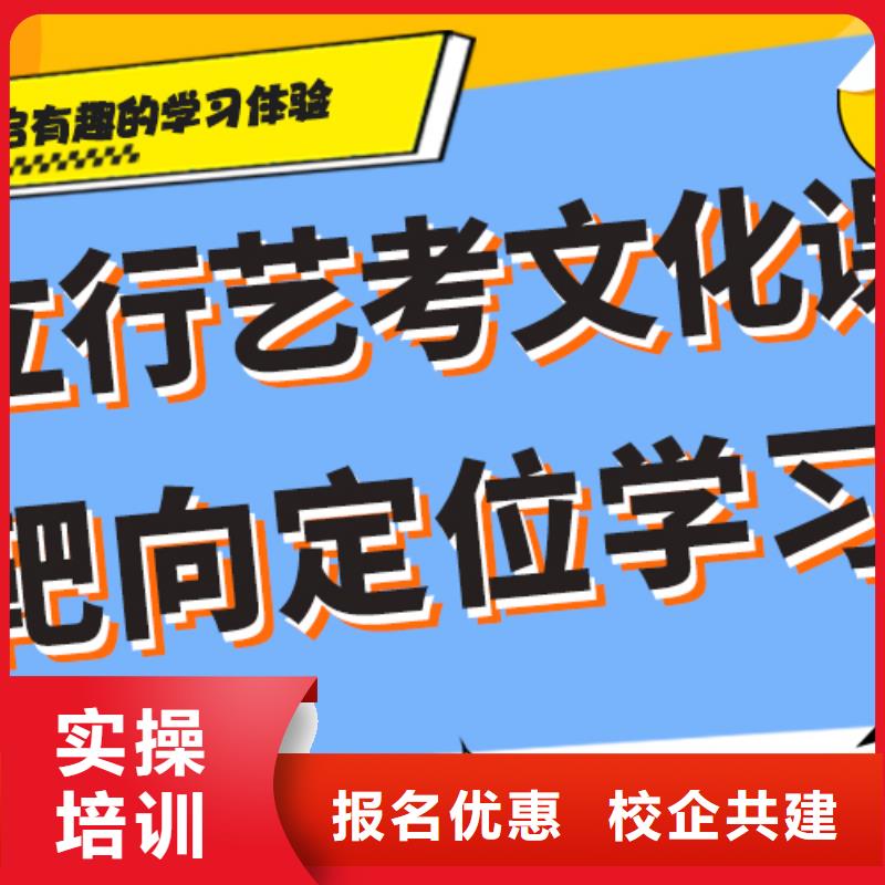 艺术生文化课艺考文化课冲刺技能+学历