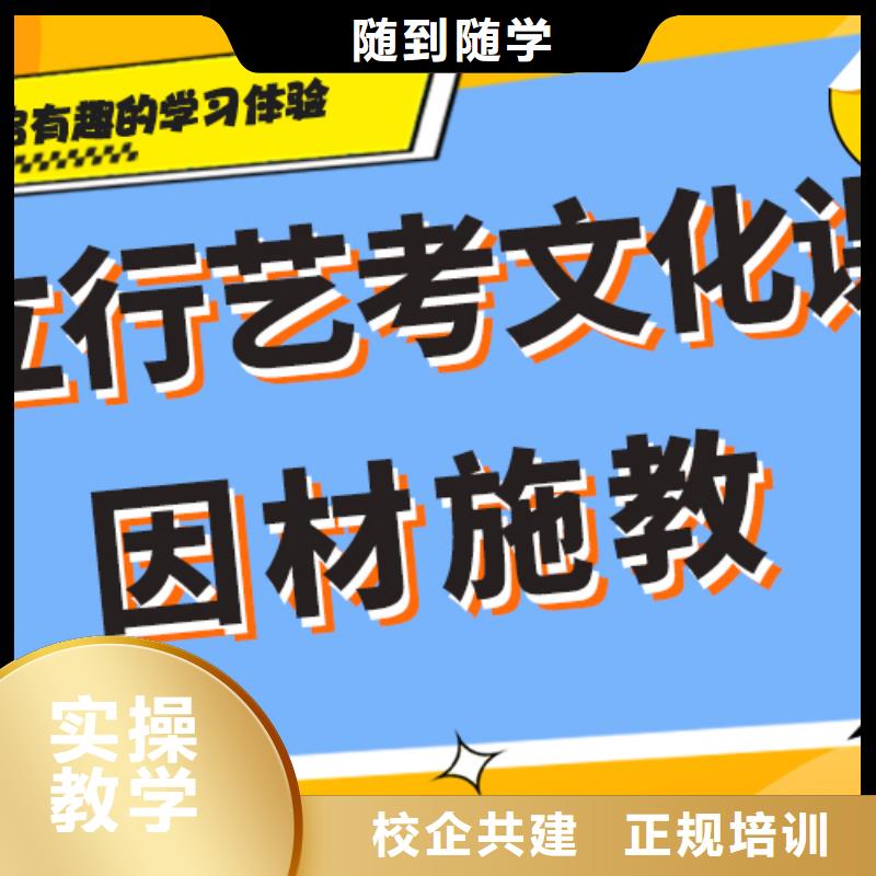 【艺术生文化课】舞蹈艺考培训理论+实操