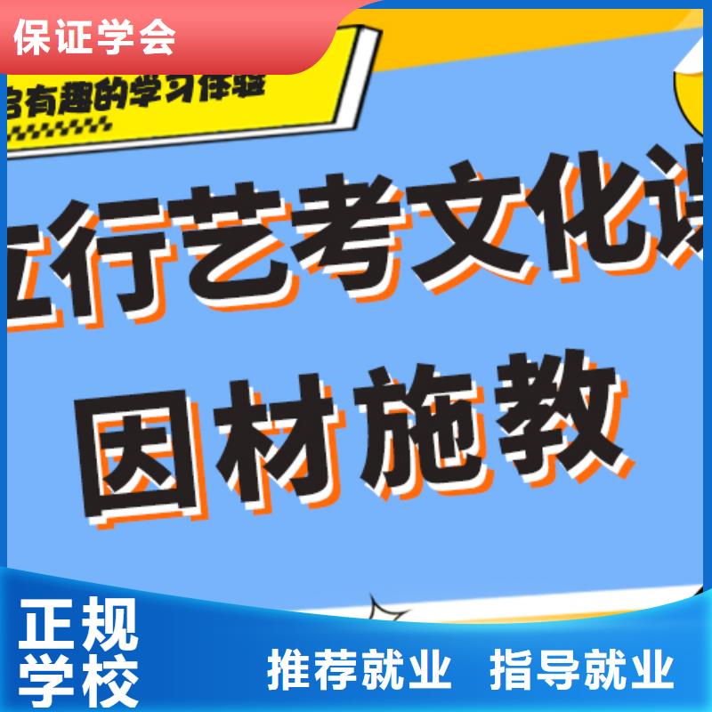 艺术生文化课艺考文化课冲刺技能+学历