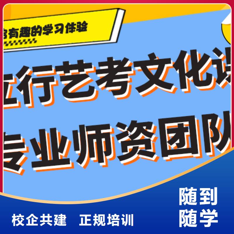 艺术生文化课高考冲刺全年制学真本领