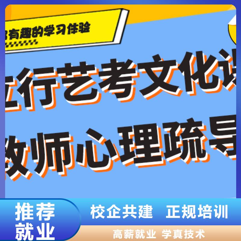 艺考文化课补习机构有什么选择标准吗