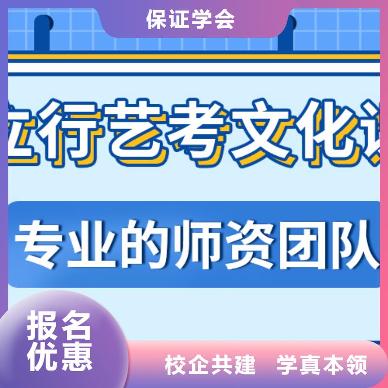 艺考文化课【艺考培训机构】理论+实操