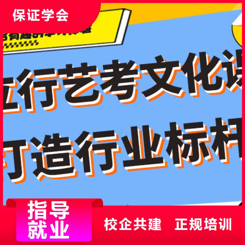 艺考文化课【艺考培训机构】理论+实操