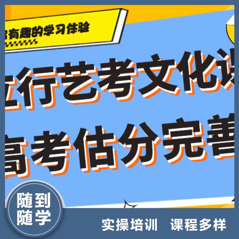 艺考文化课高考冲刺班老师专业