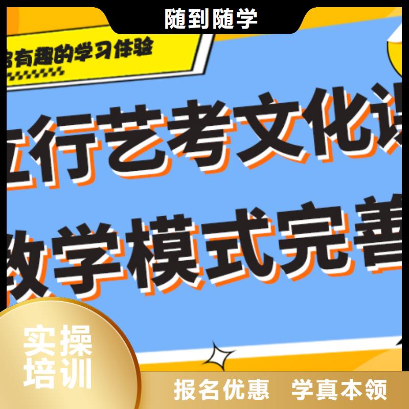 艺考文化课【艺考培训机构】理论+实操