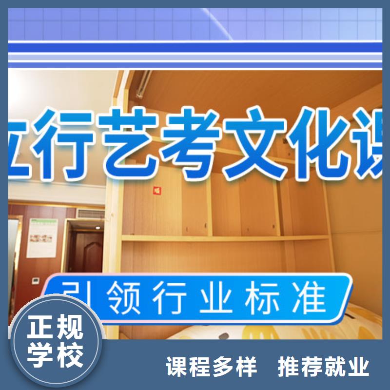 艺考文化课【复读学校】理论+实操