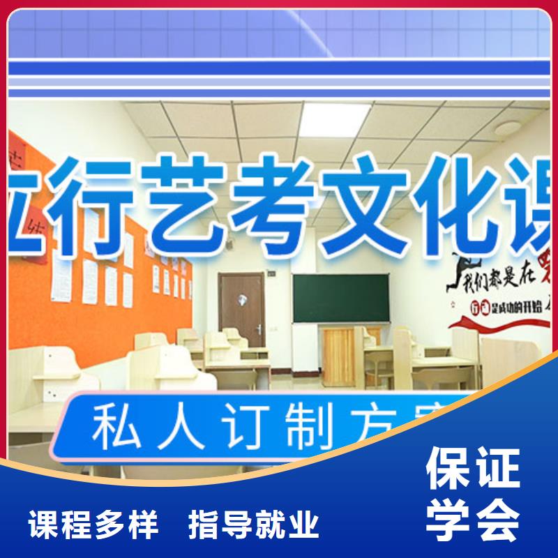 艺考文化课辅导【高考小班教学】手把手教学