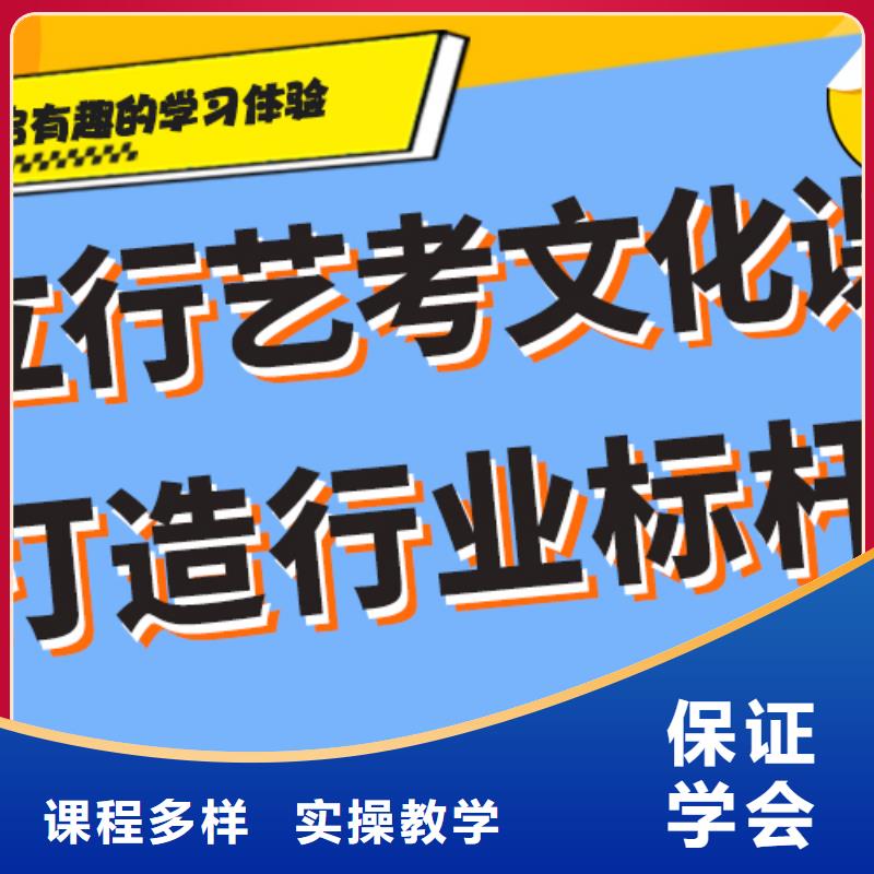 艺术生文化课培训补习一览表私人订制方案