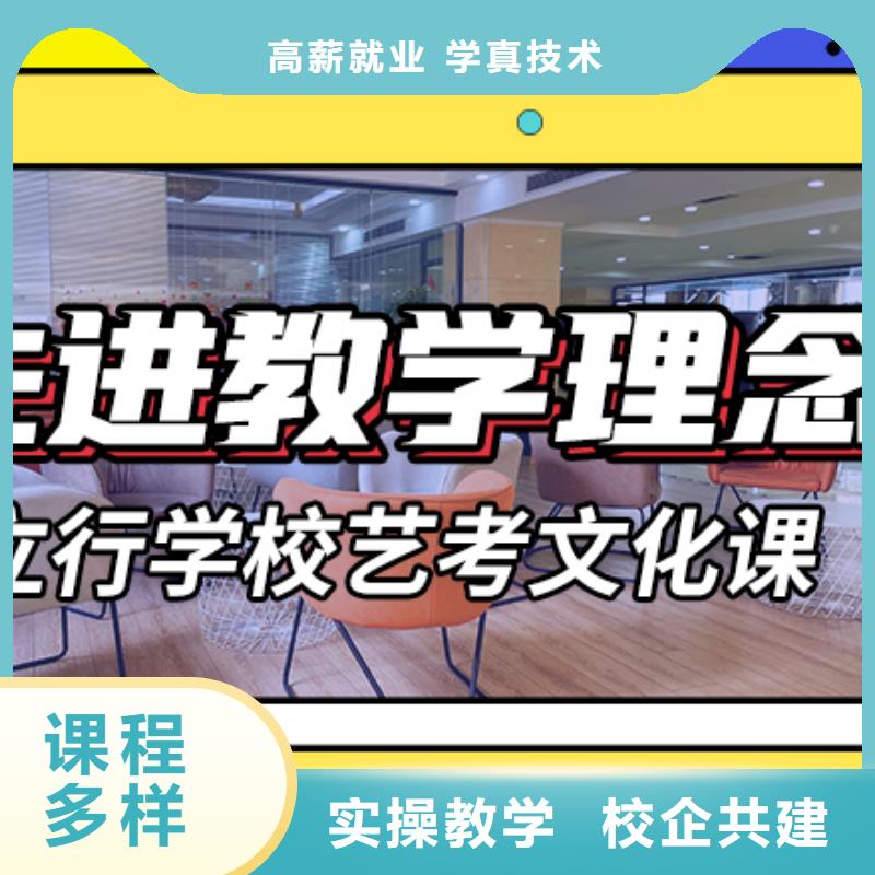 艺考生文化课培训补习有哪些定制专属课程