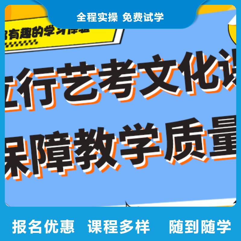 费用艺考生文化课辅导集训艺考生文化课专用教材