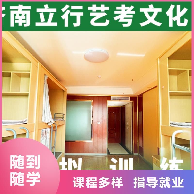 费用艺考生文化课辅导集训艺考生文化课专用教材