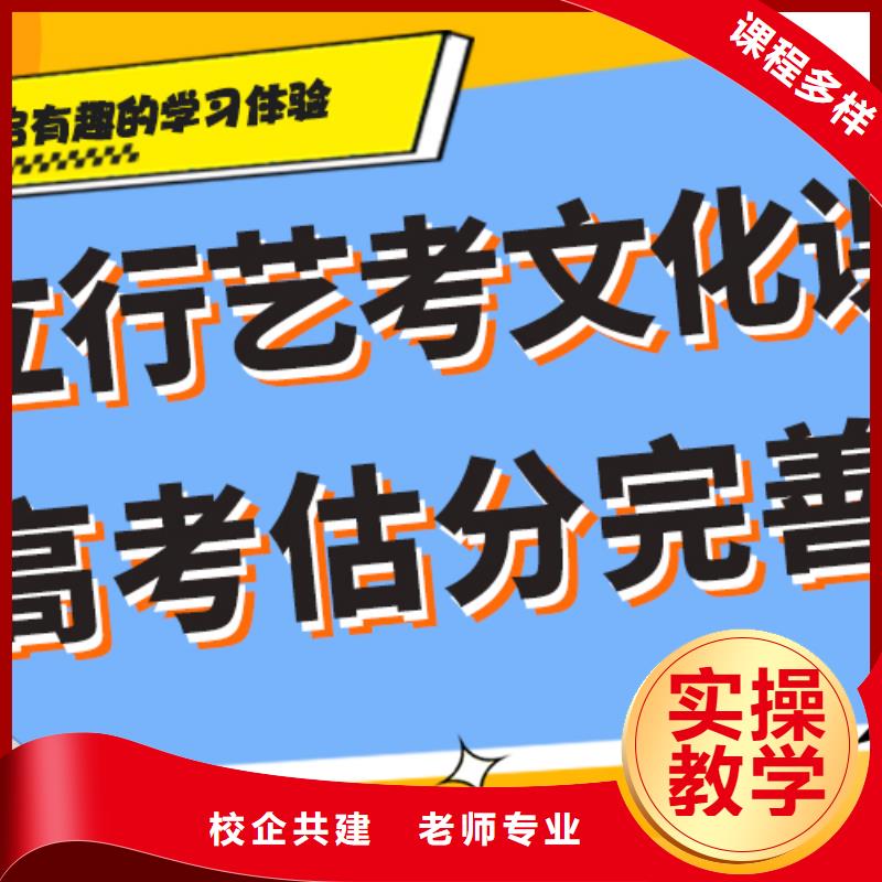 艺术生文化课补习机构好不好个性化辅导教学