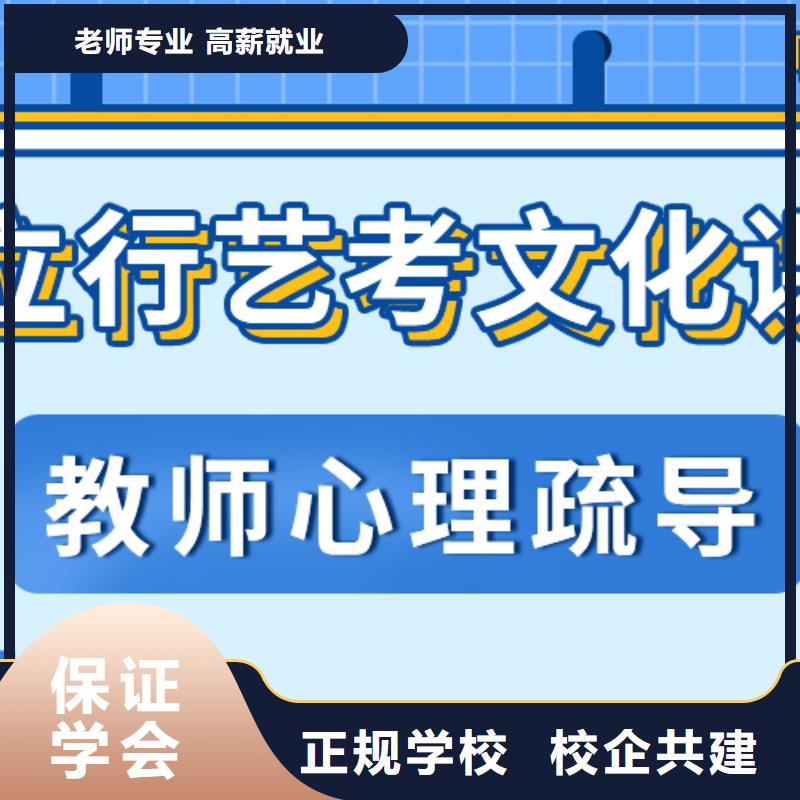 艺考生文化课补习学校怎么样艺考生文化课专用教材