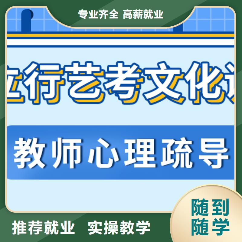 艺术生文化课辅导集训价格定制专属课程