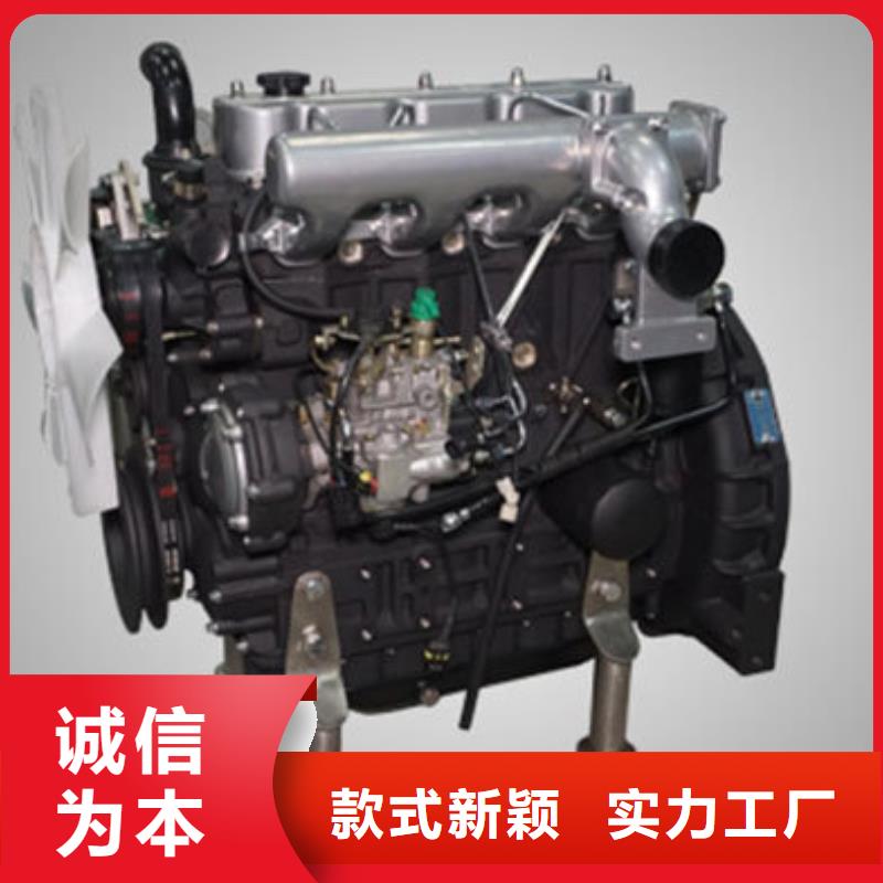 2025质优价廉#贝隆柴油发电机制造商#来图定制