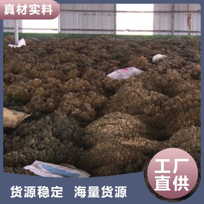 含铜泥_太阳能光伏板回收厂家回收