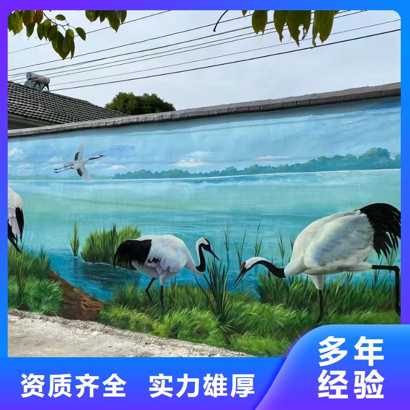 美丽乡村彩绘墙绘手绘公司团队