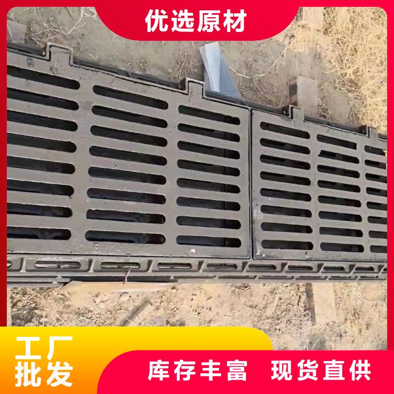双篦子球墨铸铁来图定制建通铸造厂家