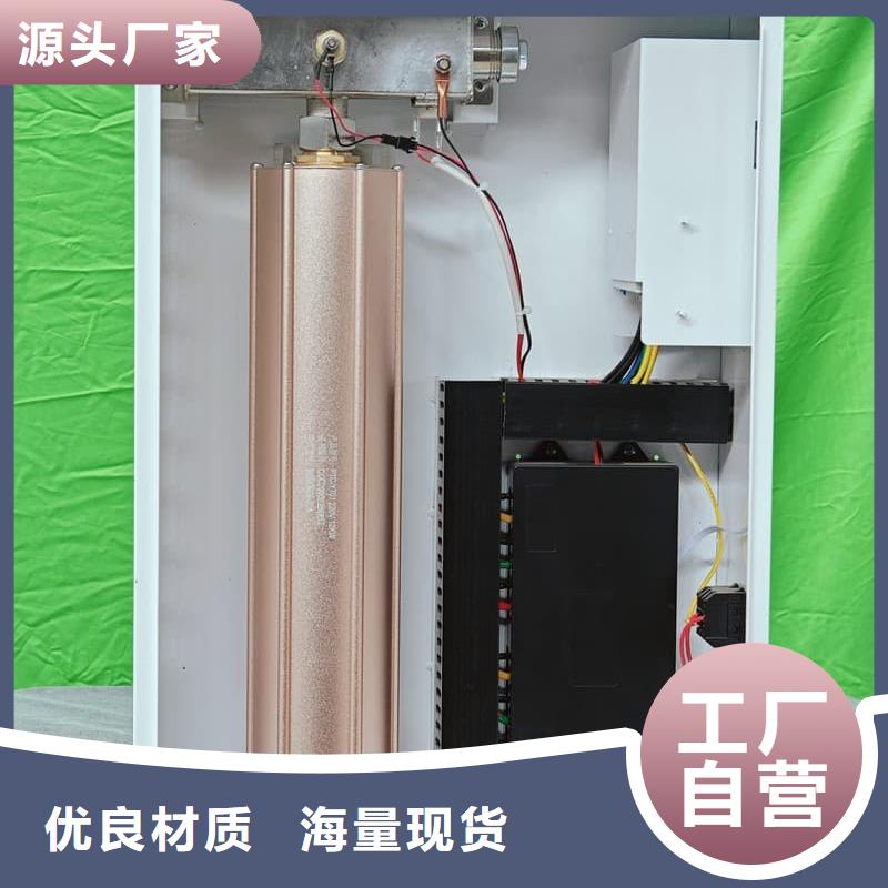 加工定制碳纤维电暖器
