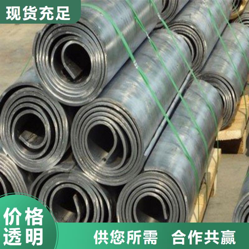 铅门厂家直销规格多样