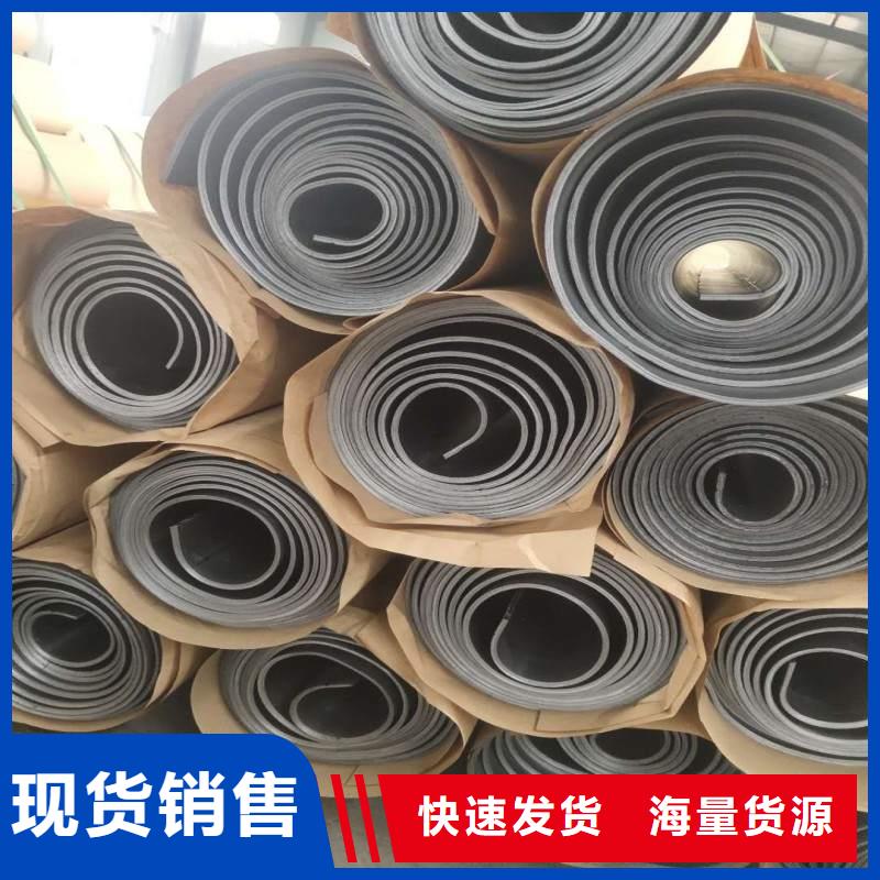 专业销售铅门价格质量有保证