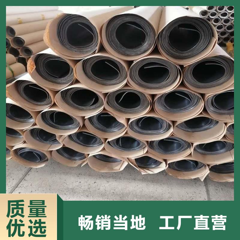 X射线防护铅门_多年制造经验