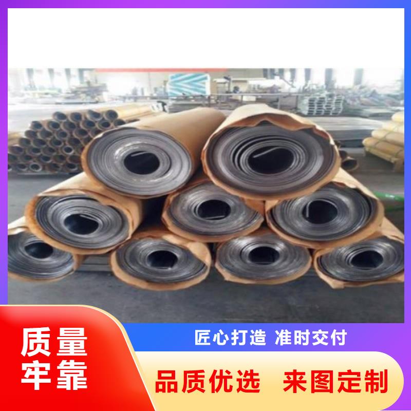 铅门厂家型号齐全