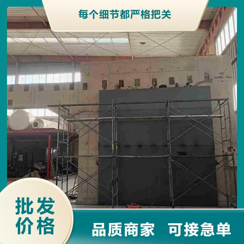 探伤室防护门专注品质