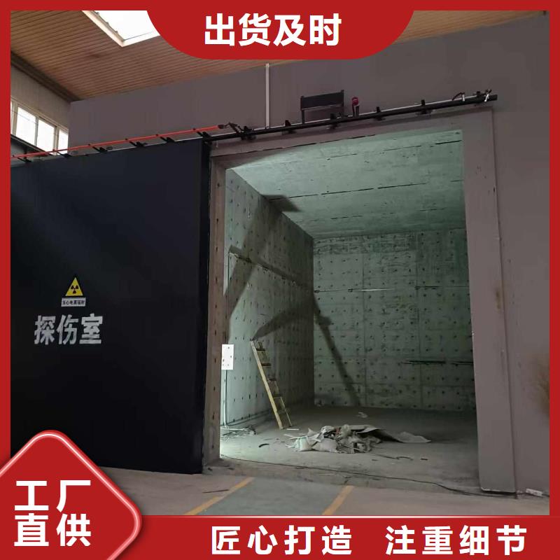 探伤室防护门专注品质