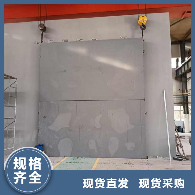 探伤室防护门制造生产销售
