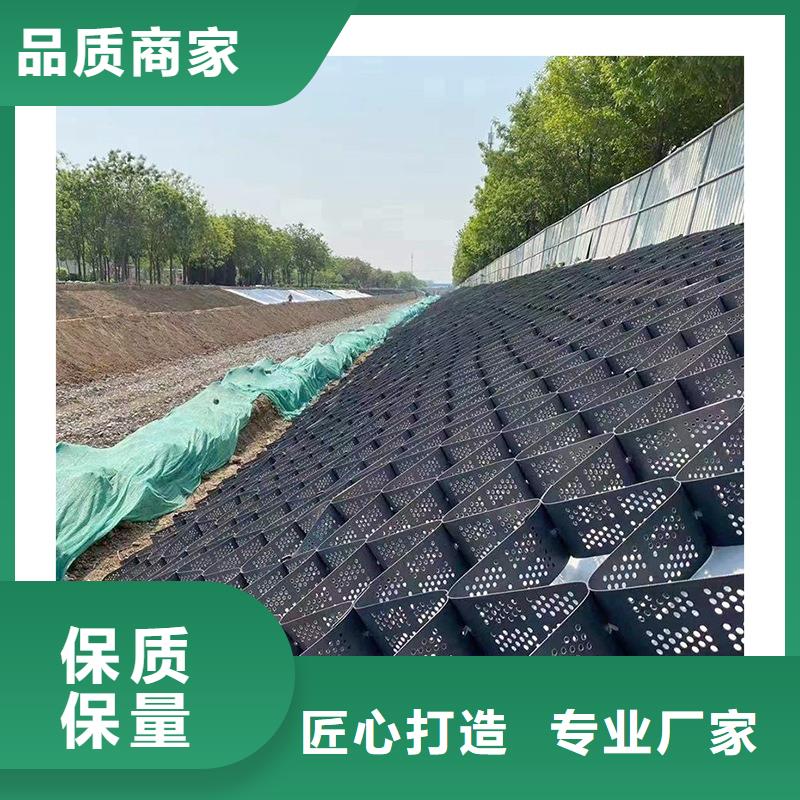土工格室注塑土工格室工厂现货供应
