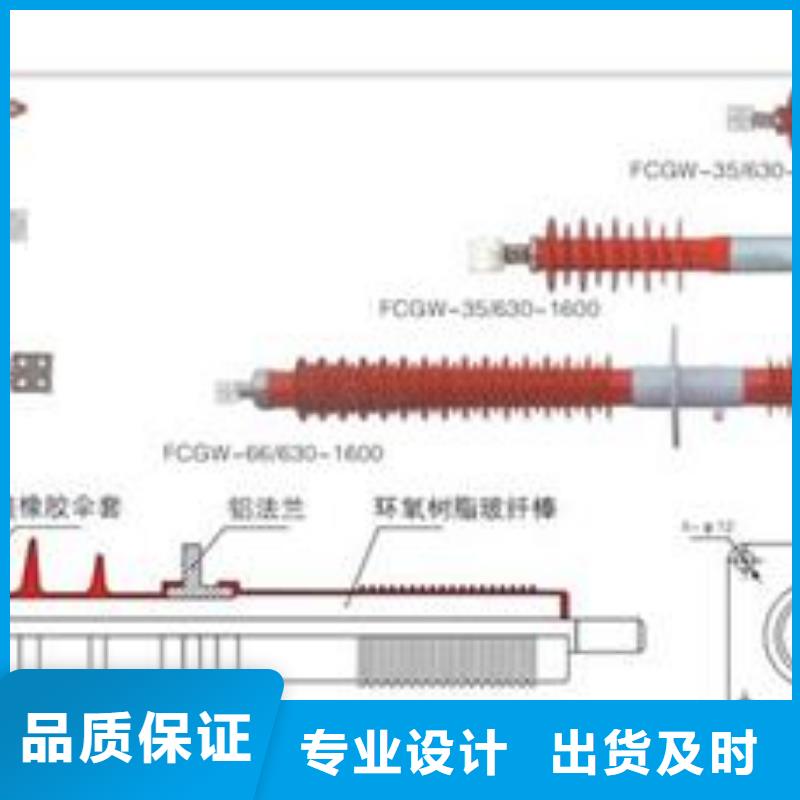 CWW-10/1000陶瓷套管