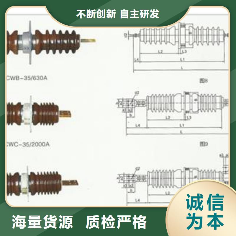 CWW-10/1000陶瓷套管