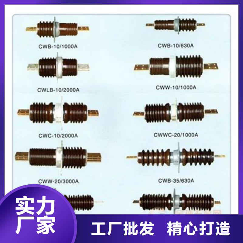 【穿墙套管氧化锌避雷器供应老品牌厂家】