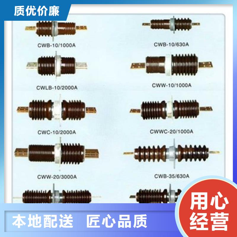 CWB-10/4000高压套管