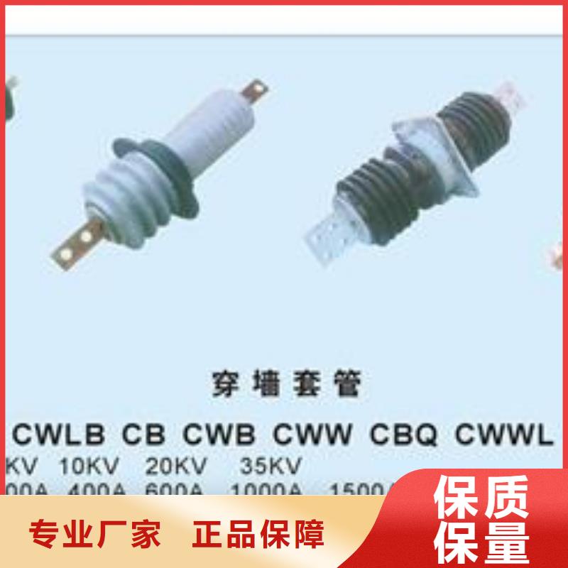 CWB-40.5/3150高压穿墙套管定安县