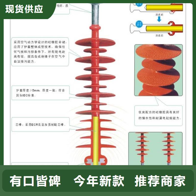 绝缘子穿墙套管现货齐全售后无忧