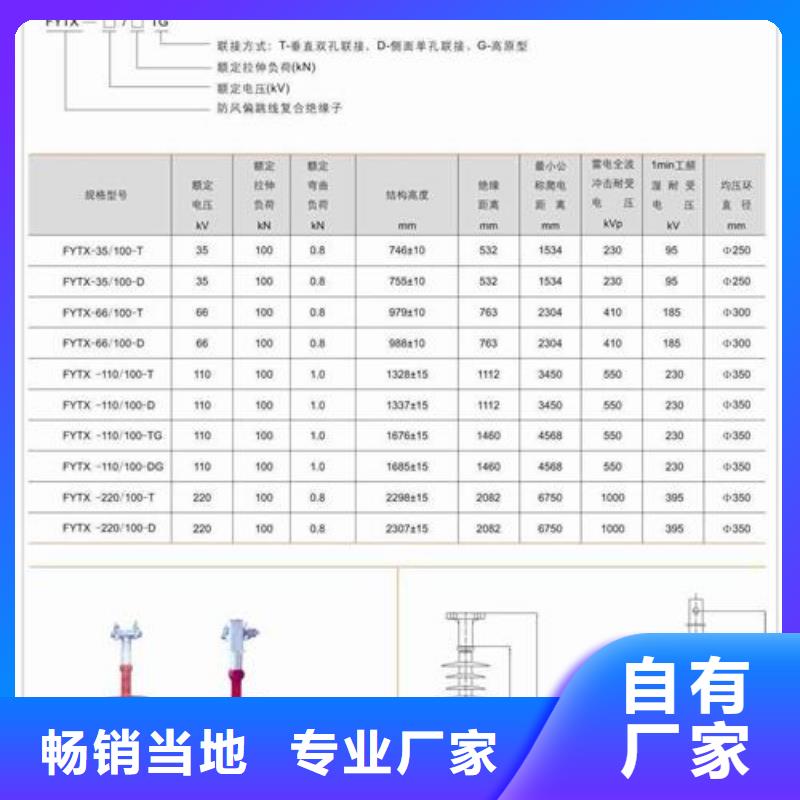 绝缘子真空断路器厂家源厂供货