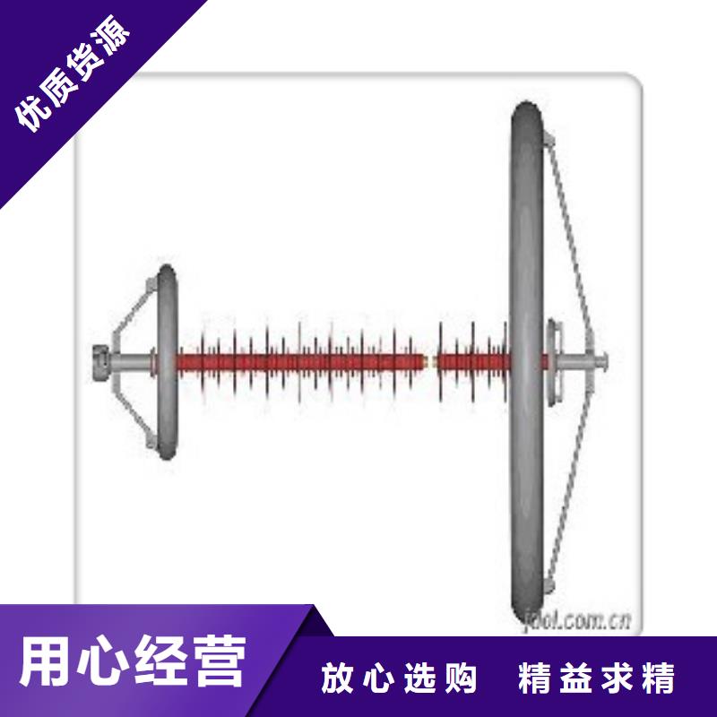 绝缘子真空断路器厂家源厂供货