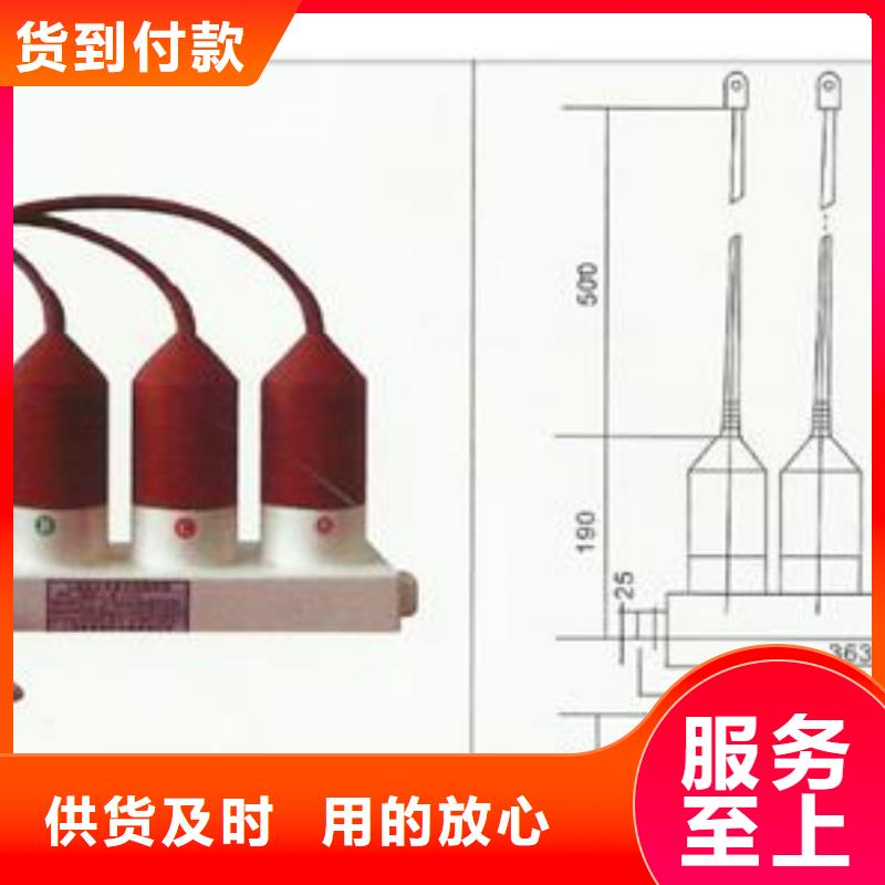 过电压保护器真空断路器严选好货