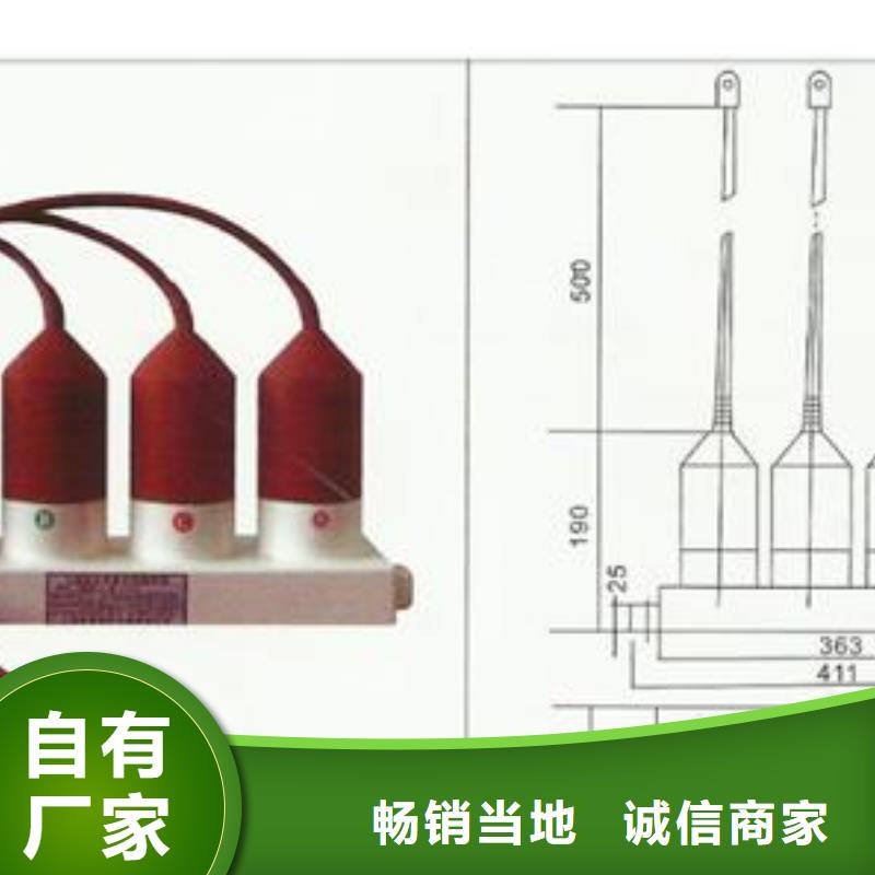 【过电压保护器,【固定金具】厂家精工细作品质优良】