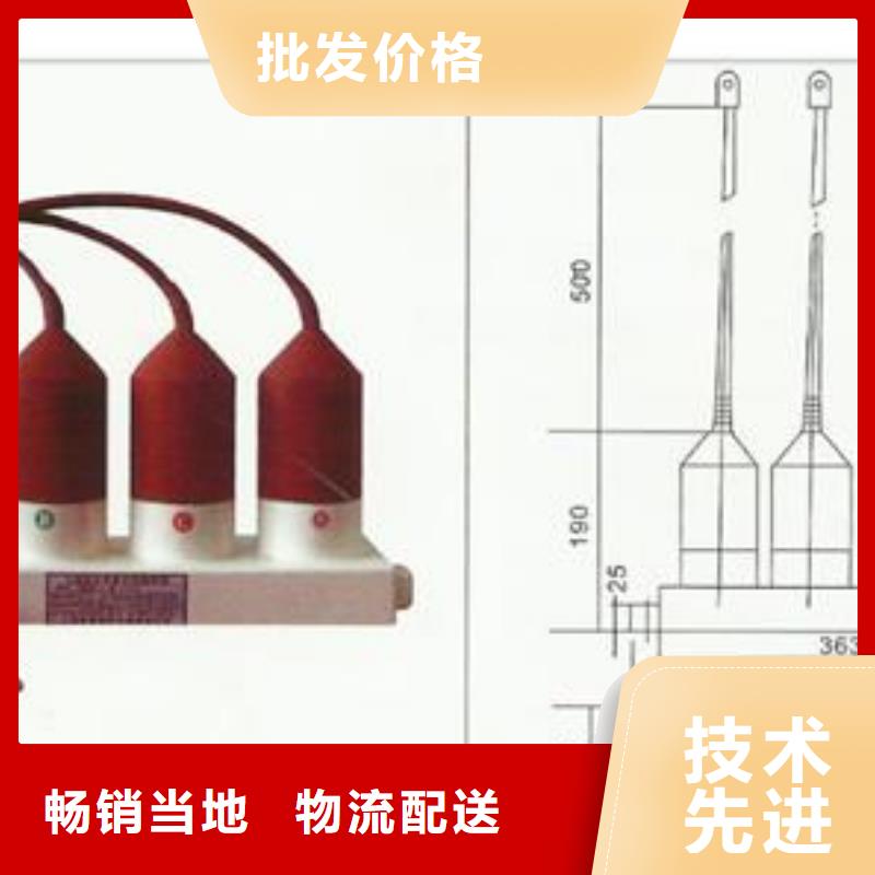 过电压保护器【跌落式熔断器】源头工厂量大优惠