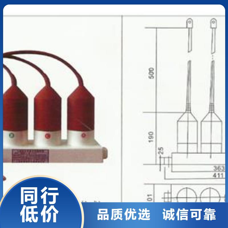 过电压保护器【真空断路器】厂家自营