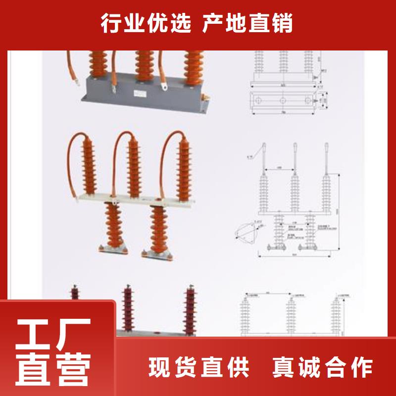 【过电压保护器绝缘子匠心打造】