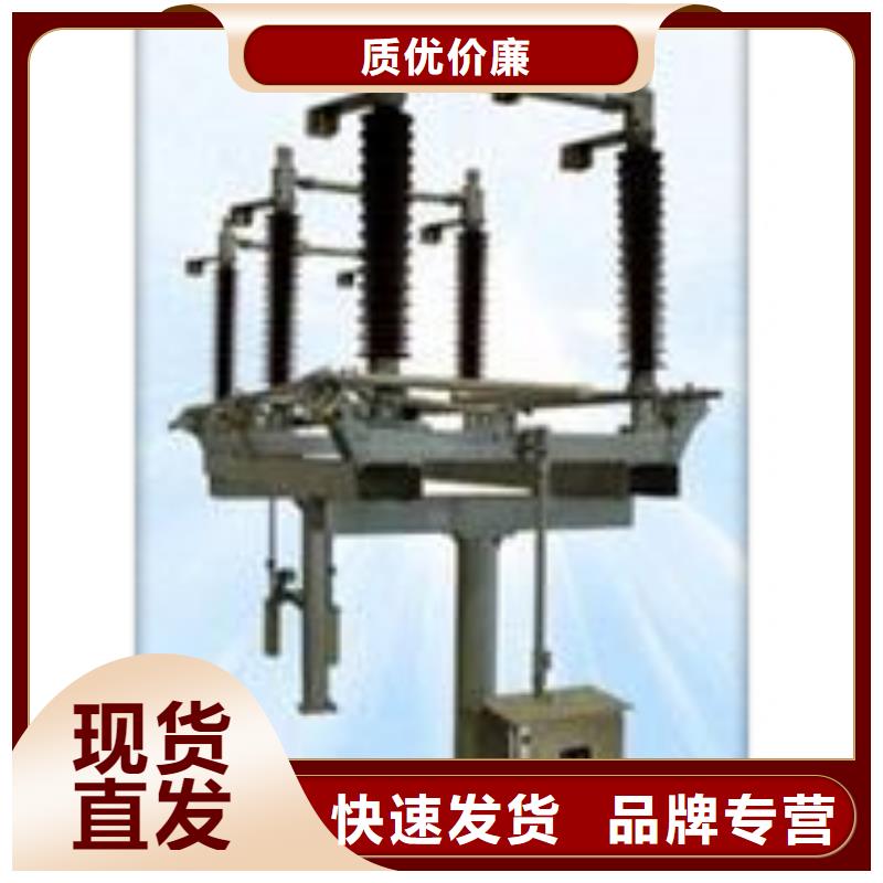 【隔离开关】,真空断路器实体厂家支持定制